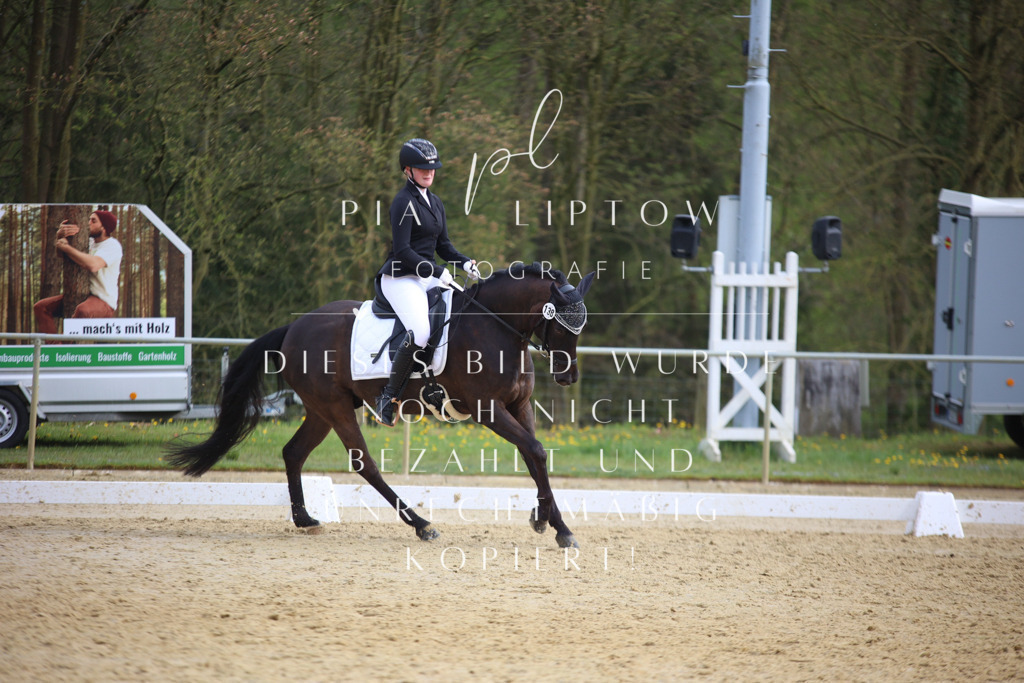 IMGT6993 | pl-fotografie