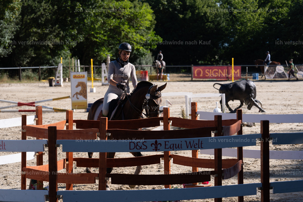 WL_SP_74_SinaFilmArt_IN05621 | working equitationturnier fotograf videograf stoibphotography marixx film working equitation deutschland reitsport turnierfotografie eventfotografie equestrian events