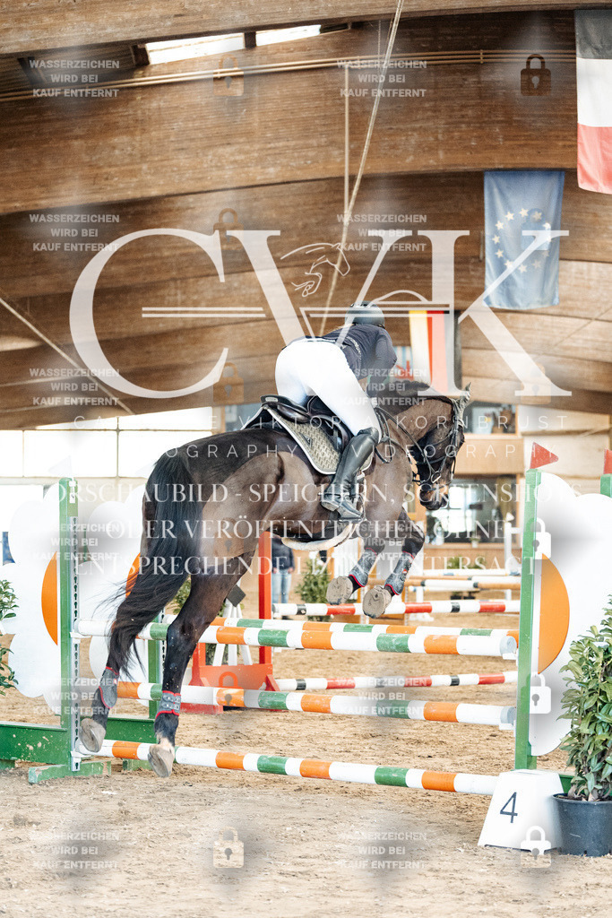 CK904945 | Turnierfotografie Pferdefotografie Trier Rheinland-Pfalz Pferdesport Reitsport Tierfotografie Sportfotografie Pferdevideo Pferdevideografie Equestrianvideography equestrianphotography  - Realisiert mit Pictrs.com