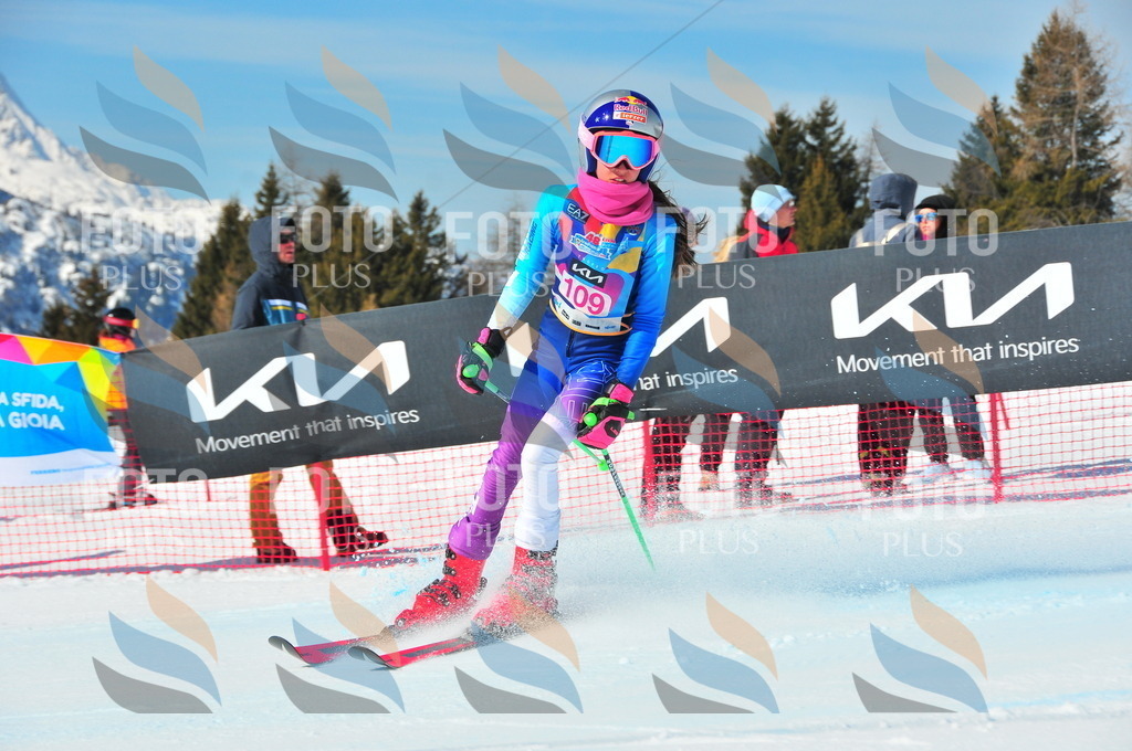 DSC_4668 | holidayphoto