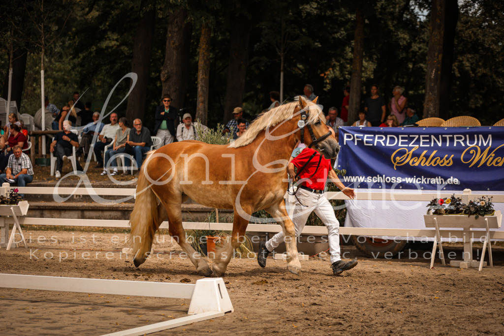 3.Sa00058 | Leoni Ertmer Photography - Realisiert mit Pictrs.com