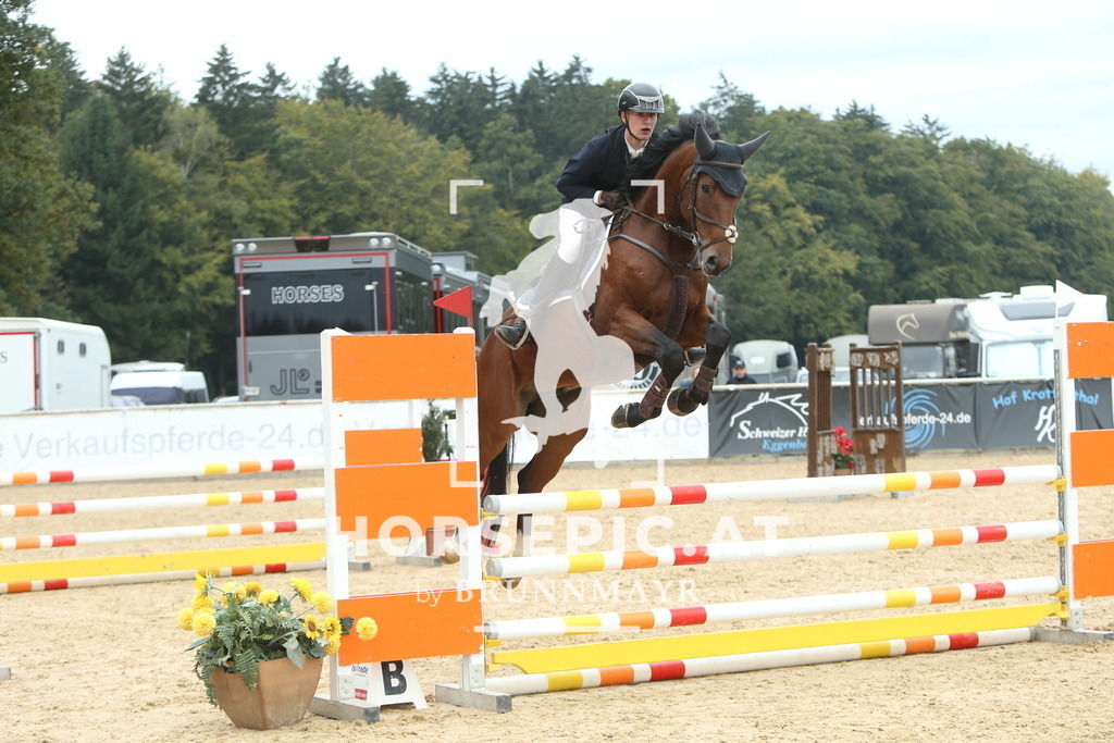 DL2Q5975 | Willkommen bei Brunnmayr - Design & Fotografie – Ihrem Spezialisten für Reitturniere und Pferdeveranstaltungen in Oberösterreich, Salzburg und Bayern! Seit über 17 Jahren sind wir leidenschaftlich dabei.