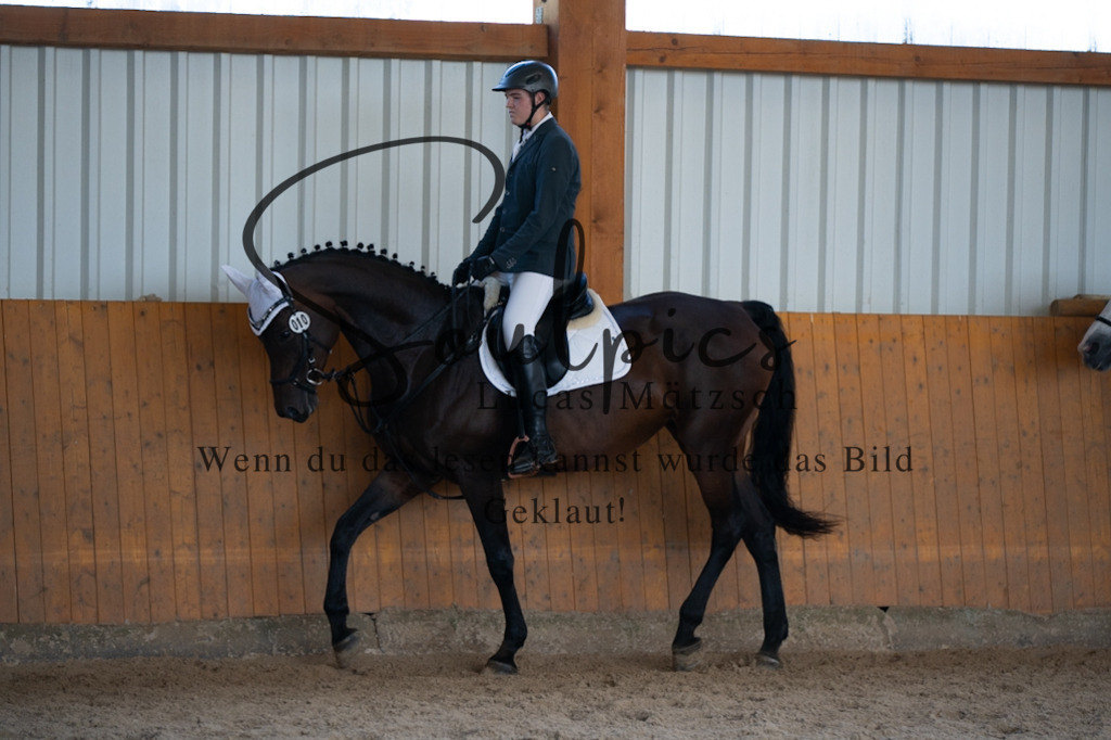 A7V02157 | Turnier/Reitfotograf