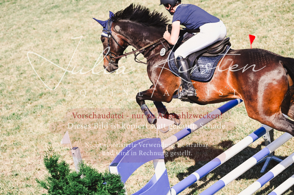 DSC_1834 | Pferde- und Turnierfotografie in Westsachsen. Pferdeportraits, Auftragszeichnungen und intuitive Kunst.