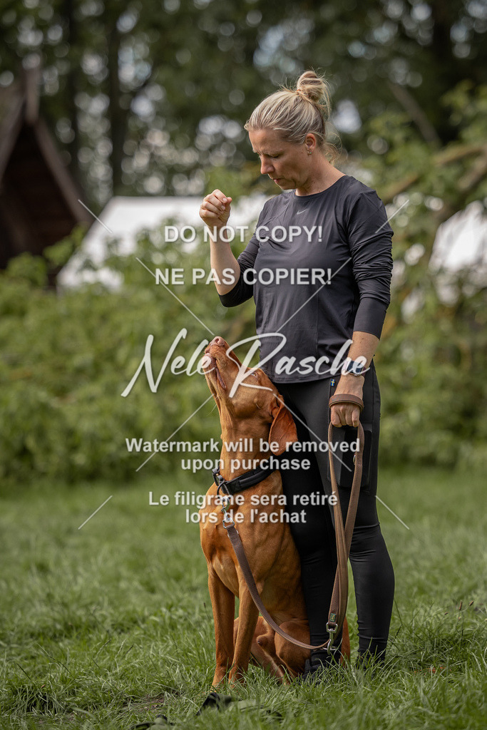 nelerasche_DoN_51 | nelerasche