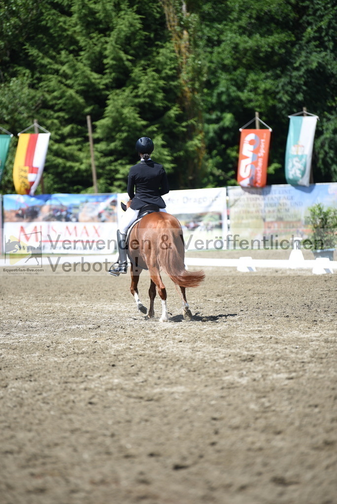 DSC_0217 | equestrian-live-com