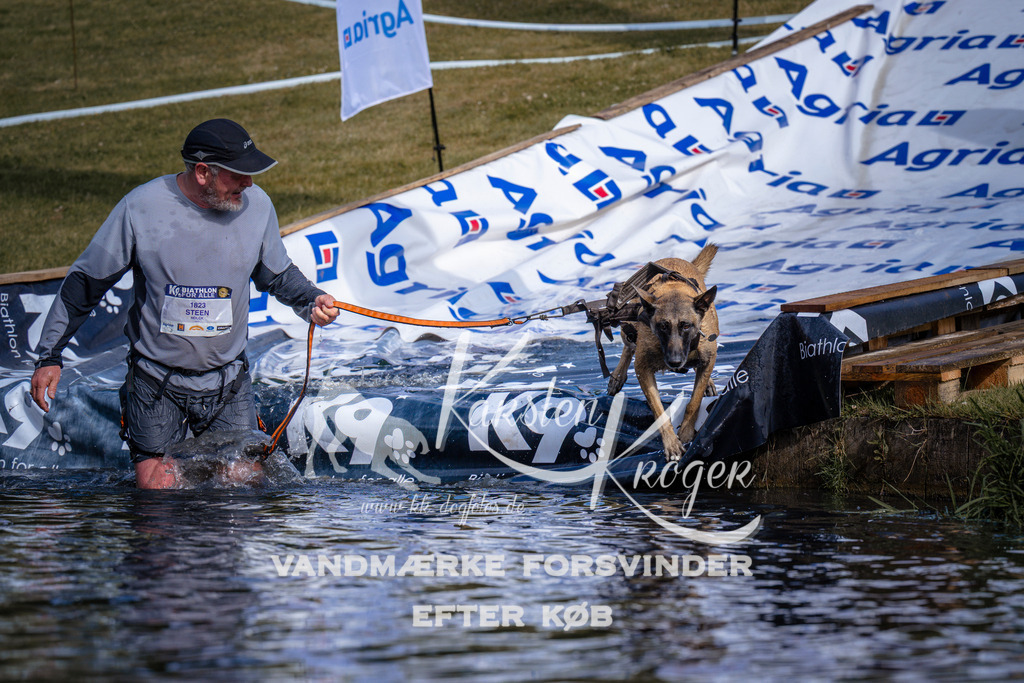 _ZZ982560756 | kk-dogfotos
