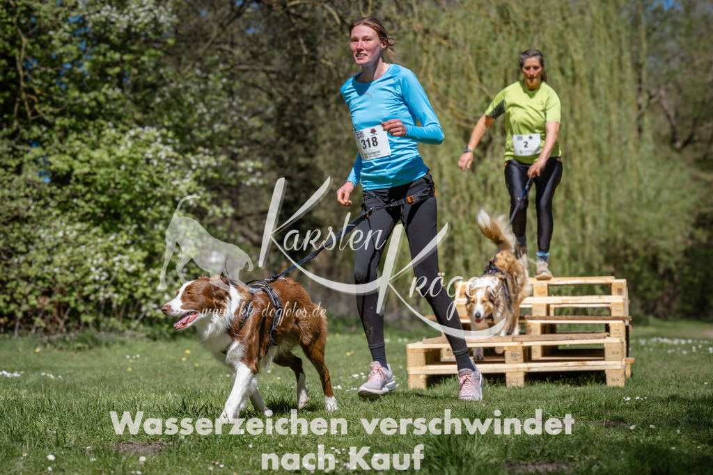 1210_ZZ90862 | kk-dogfotos