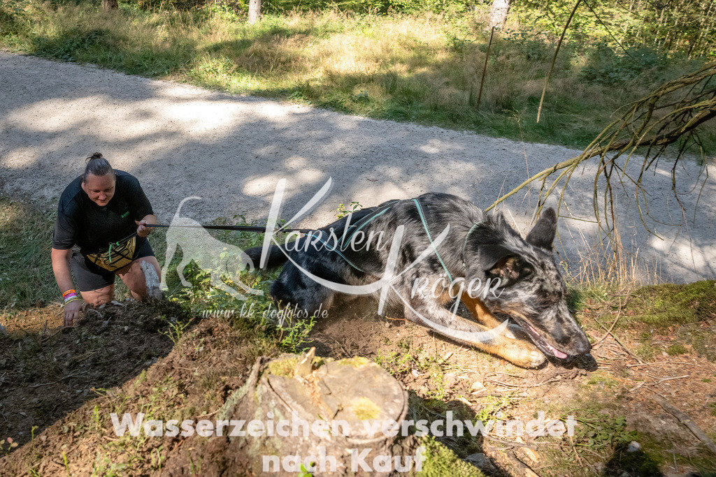 1241_ZZ90016 | kk-dogfotos