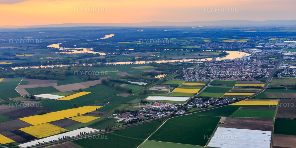 Luftbild: Stadtansicht am Rheinbogen am Abend in Gernsheim im Bundesland Hessen in Deutschland. Foto: IMG_088386.jpg vom 09.05.2016 durch Werner Riehm/FLY-FOTO.de