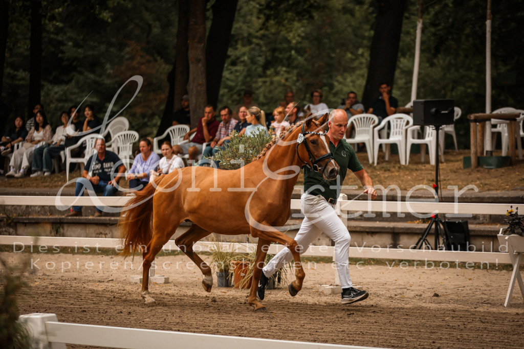 10.-12.Elite00012 | Leoni Ertmer Photography - Realisiert mit Pictrs.com