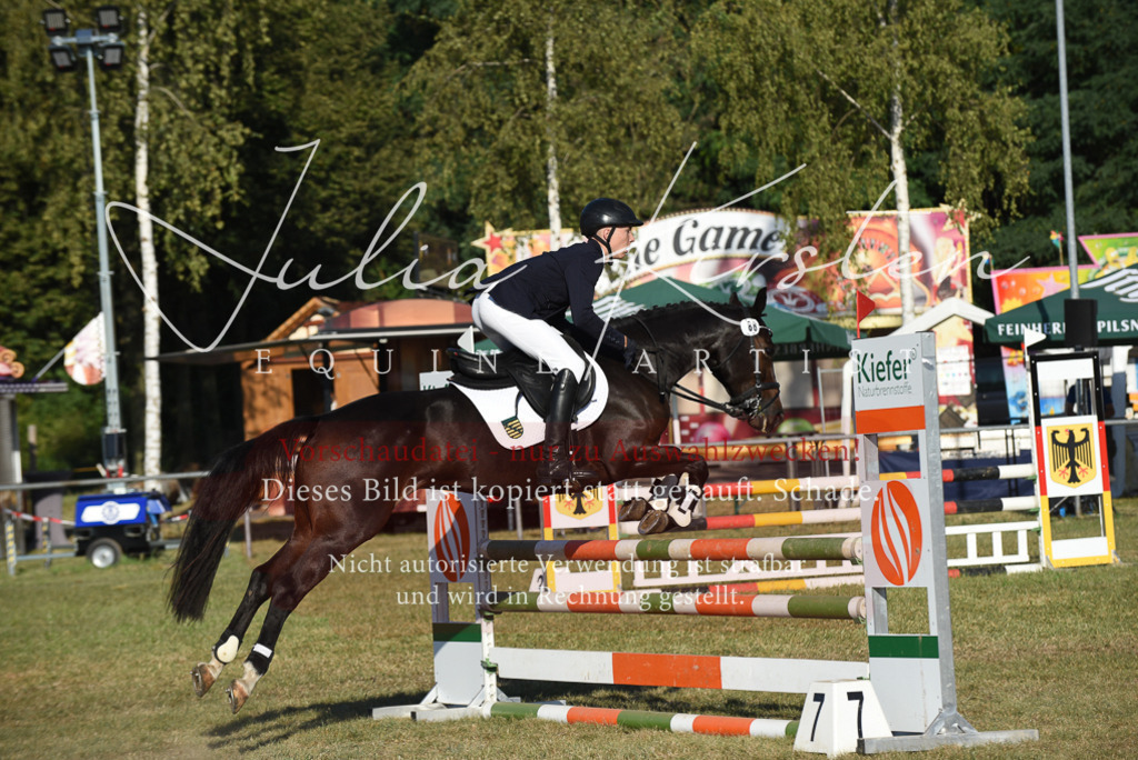 DSC_5063 | Pferde- und Turnierfotografie in Westsachsen. Pferdeportraits, Auftragszeichnungen und intuitive Kunst.