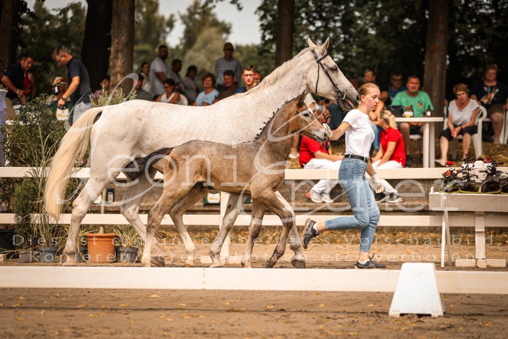 SaPA00067 | Leoni Ertmer Photography - Realisiert mit Pictrs.com