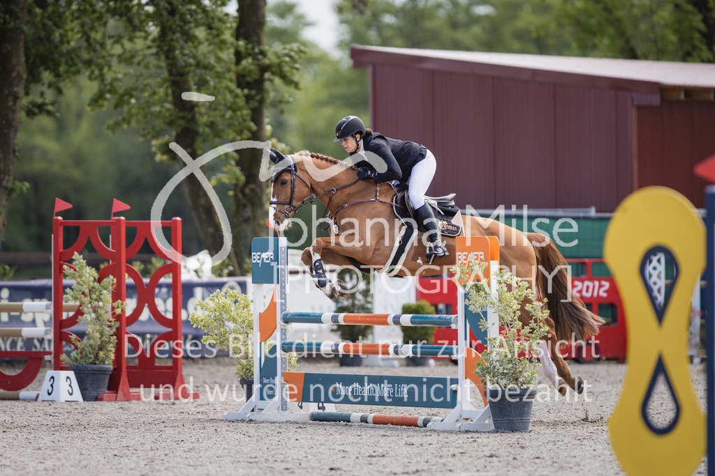230516_Mühlen_03SprPf-A-436 | Deine schönsten Turniermomente als professionelle Fotos! Entdecke hochwertige Pferdesport-Fotografie im Online-Shop. Jetzt Fotos finden & bestellen!