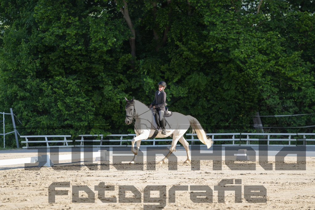 DSC02720 | Julian Held Fotografie - Realisiert mit Pictrs.com