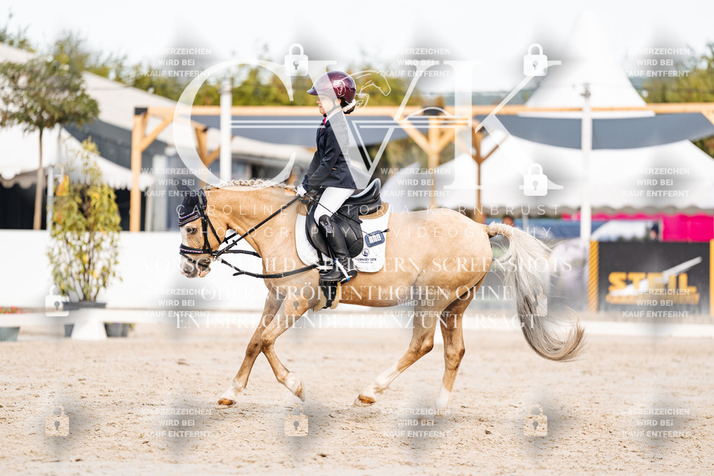 CK904719 | Turnierfotografie Pferdefotografie Trier Rheinland-Pfalz Pferdesport Reitsport Tierfotografie Sportfotografie Pferdevideo Pferdevideografie Equestrianvideography equestrianphotography  - Realisiert mit Pictrs.com