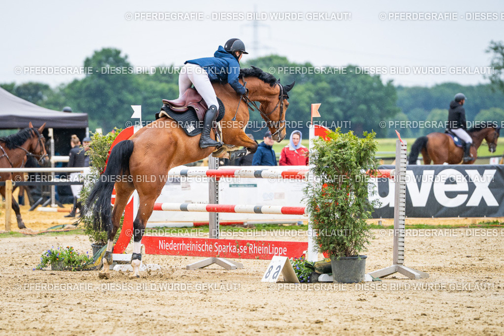 DSC09400 | Pferdegrafie