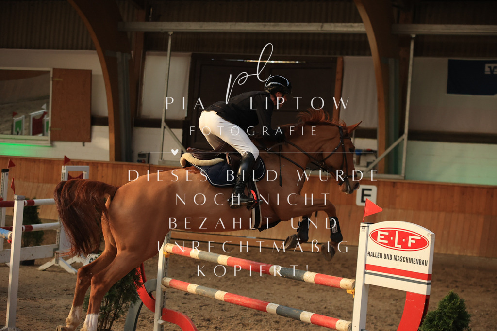 IMGT1334 | pl-fotografie