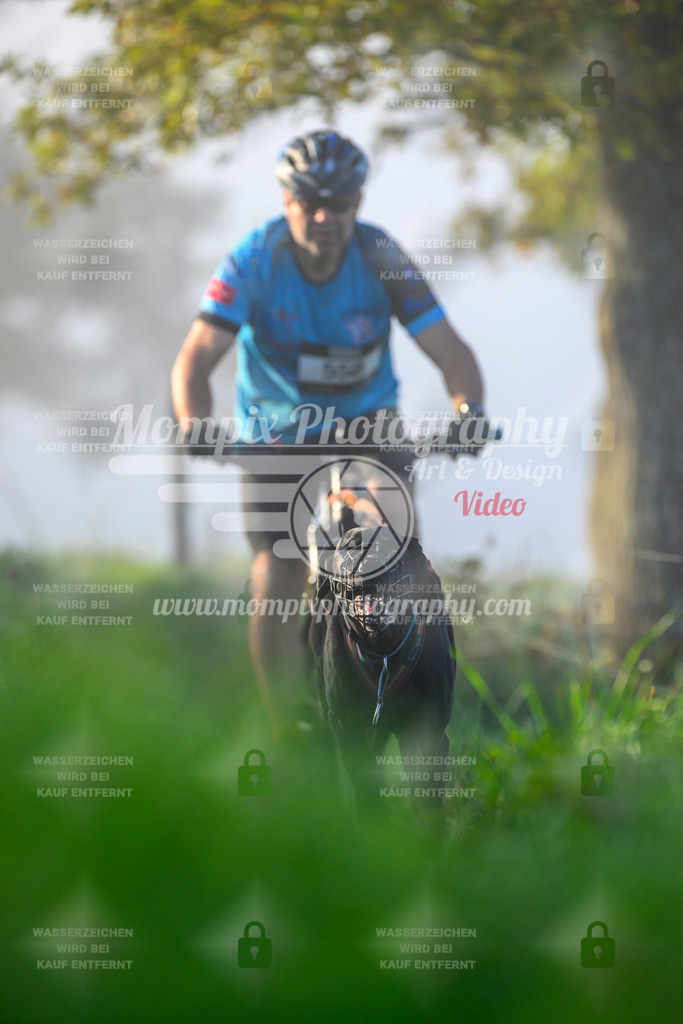 MompixPhotography_20TSB_E3_Bike-56 | PayLife