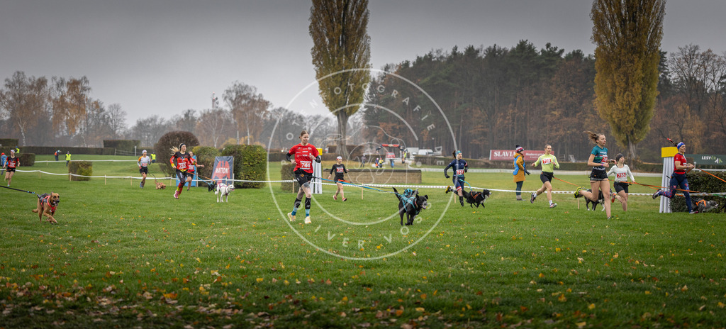 CaniXpix_DV3A8858 | Hundefotografie, Tierfotograf, Pfotenfotografie, Fotoshooting Hund, Hunde Portrait, Hundesport, Hundeportraits, Heideshooting, Hunde, Sportfotograf, Hundefotograf, Turnierhundsport, THS,  - Realisiert mit Pictrs.com