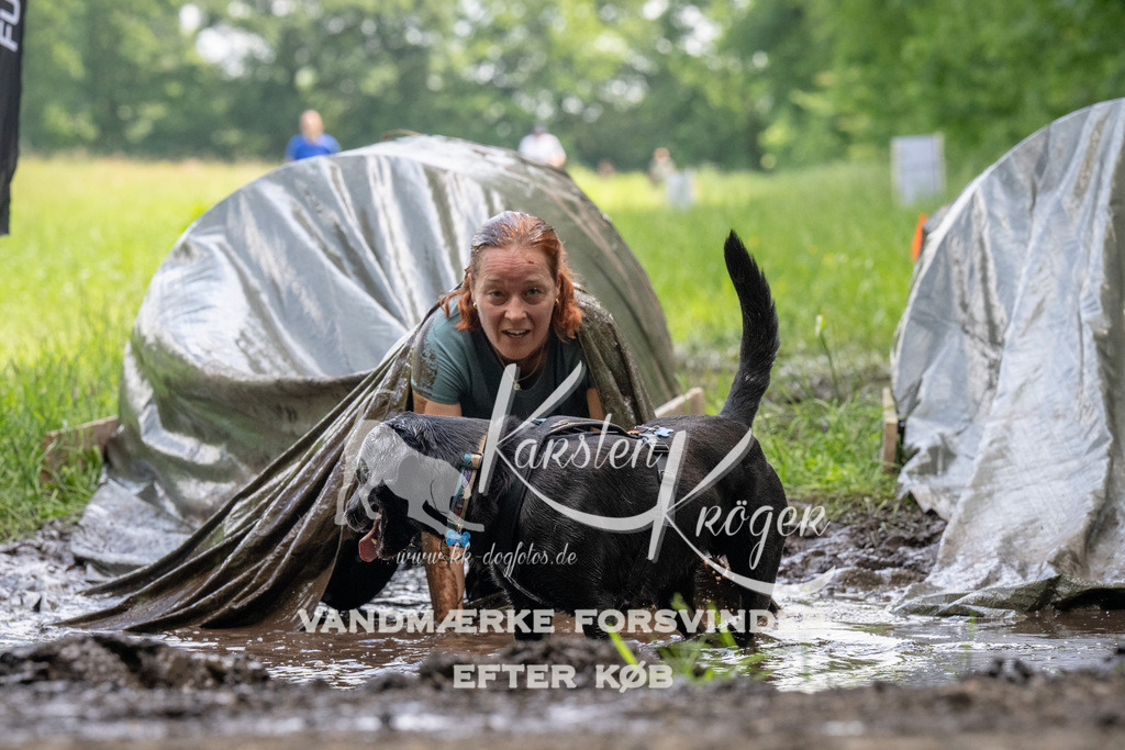 1147_ZZ94549 | kk-dogfotos