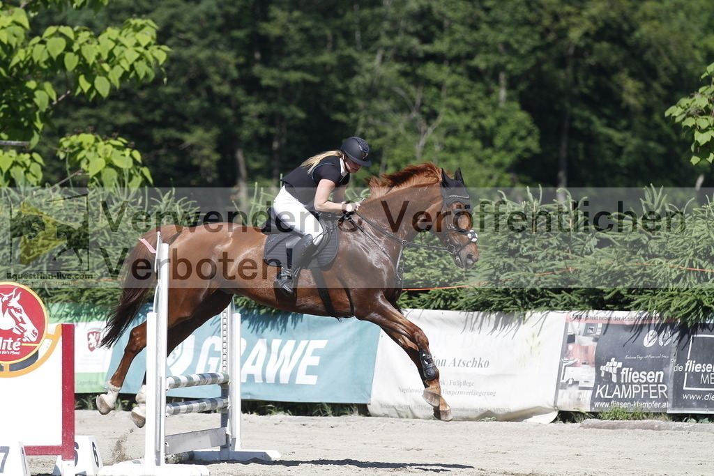 _MG_2612 | equestrian-live-com
