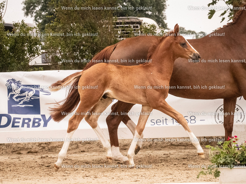 A10I0703 | photographylinaismer - Realisiert mit Pictrs.com