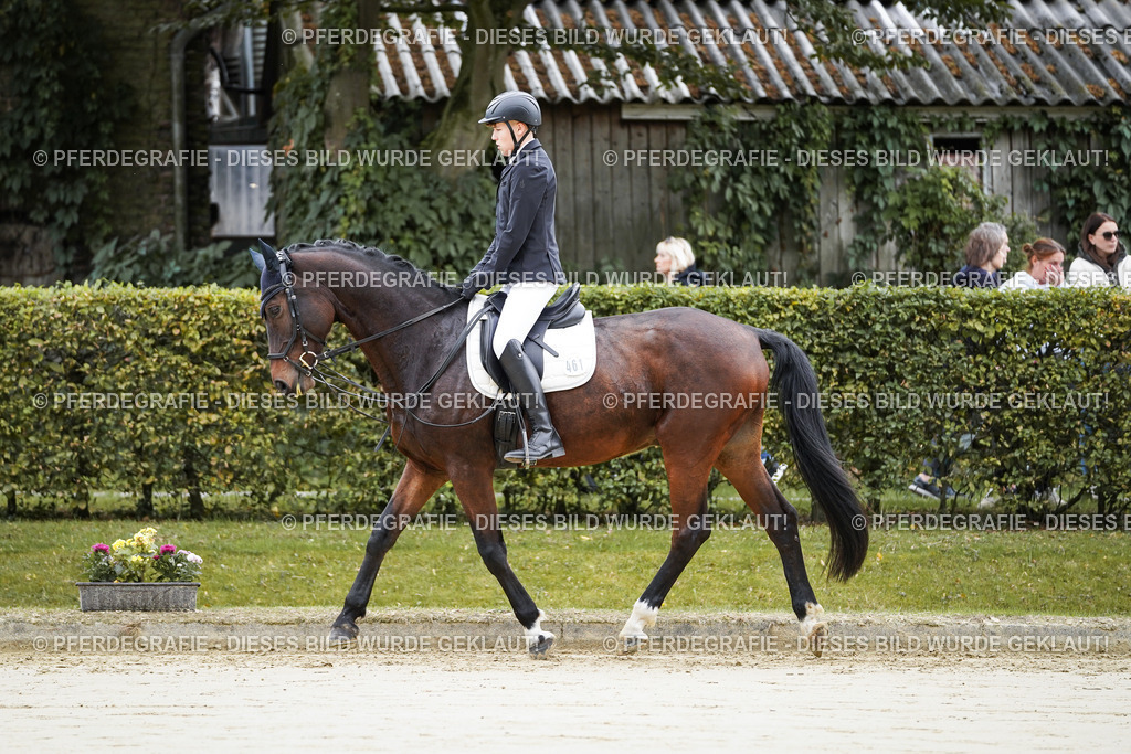 DSC04384 | Pferdegrafie