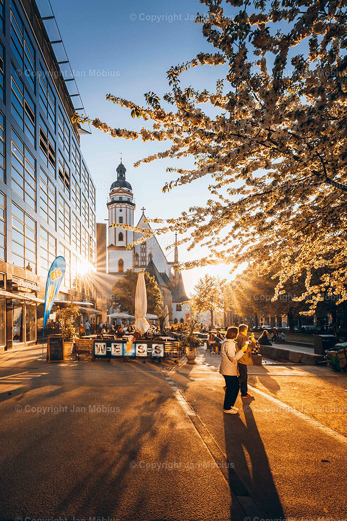 _DSC6217 | Leipzig Wandbilder Drucke Prints Leinwand Stadtmotive Leipzig Fotosdruck Kunstdrucke Bilder Leipzig Stadtansichten Acrylglasbilder Leipzig Wanddeko Fine Art Prints Wandbilder Büro Leipzig Bilder Praxis Zuhause Bilderdruck Poster Posterlounge Kunstdrucke - Realisiert mit Pictrs.com