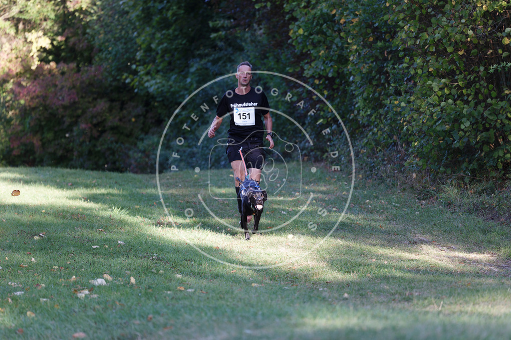 0L8A5055 | Hundefotografie, Tierfotograf, Pfotenfotografie, Fotoshooting Hund, Hunde Portrait, Hundesport, Hundeportraits, Heideshooting, Hunde, Sportfotograf, Hundefotograf, Turnierhundsport, THS,  - Realisiert mit Pictrs.com