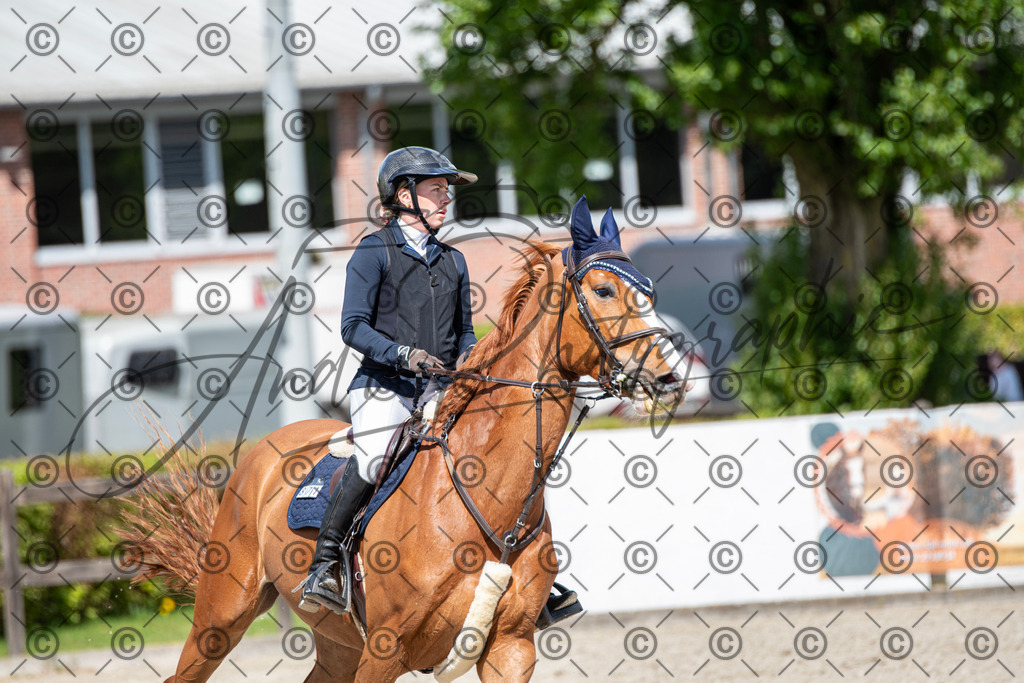 KPT_5260 | andre_photographic