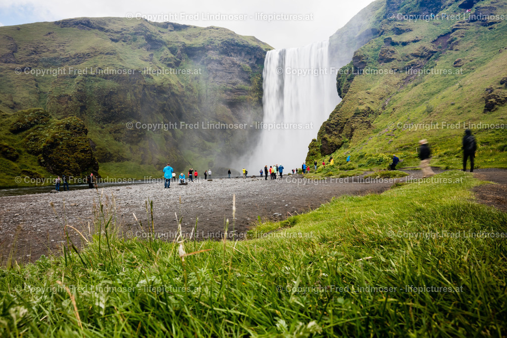 Island Gent Reykjavik-7880 | Fotos und Fotoprodukte - Realisiert mit Pictrs.com