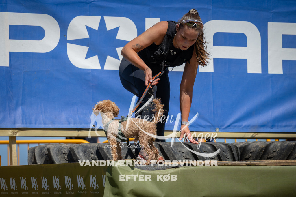 1321_ZZ98721 | kk-dogfotos