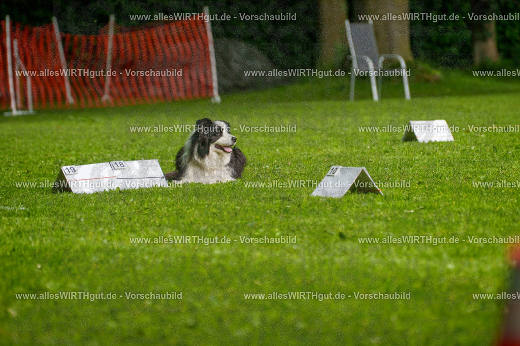 @allesWIRTHgut_Tierfotografie - www.allesWIRTHgut.de - 7R502766 | Professionelle Tierfotografie in Mönchengladbach von Daniel Wirth (allesWIRTHgut). Liebevolle & natürliche Bilder von Hunden & Katzen für unvergessliche Erinnerungen.