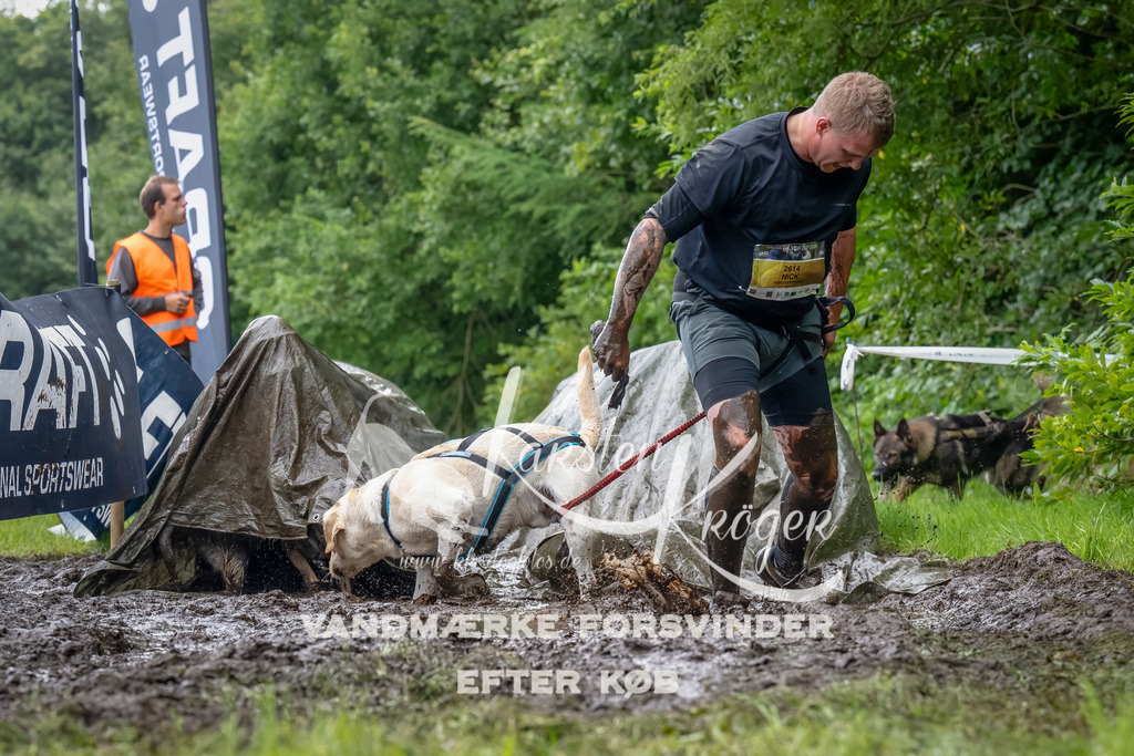 1044_ZZ92761-Bearbeitet | kk-dogfotos