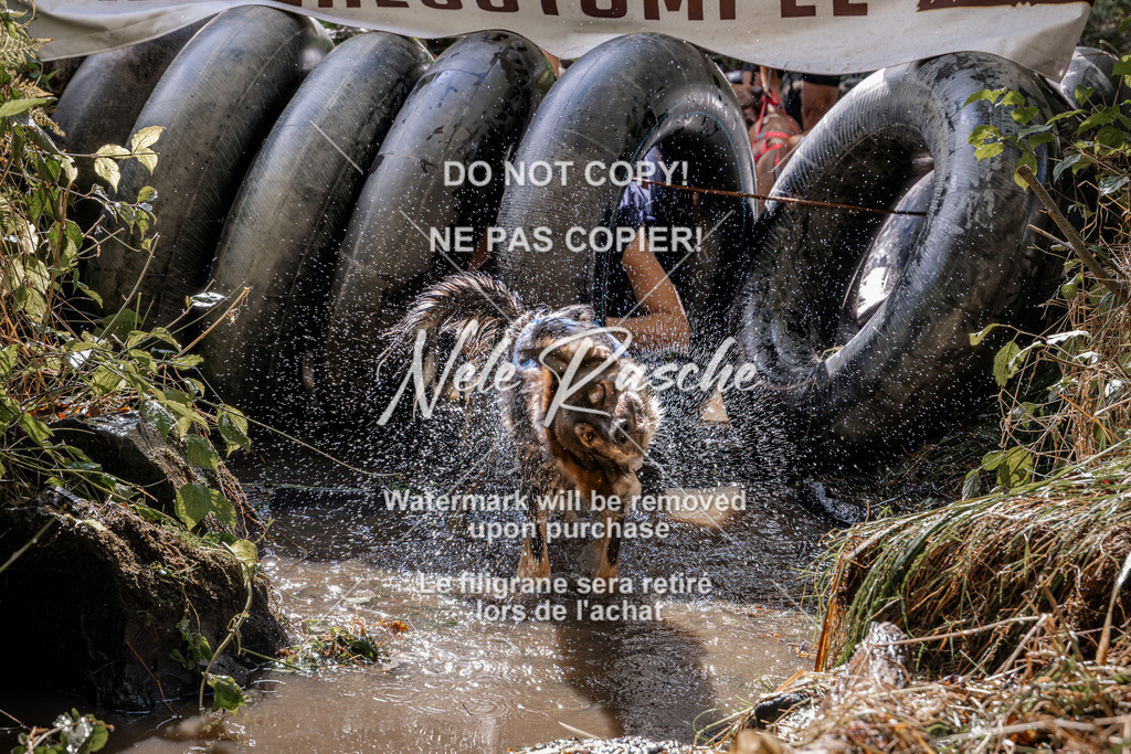 nelerasche_Hunsrück2026_Sa1400-1500_19 | nelerasche
