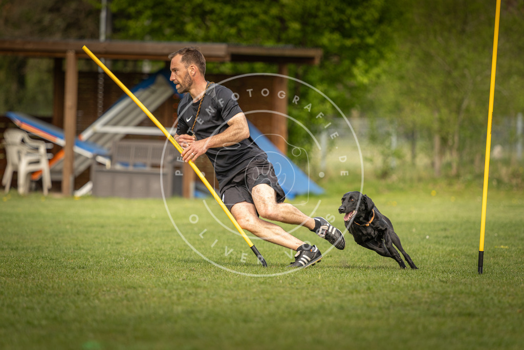 Pfotenfotografie_DV3A5510 | Hundefotografie, Tierfotograf, Pfotenfotografie, Fotoshooting Hund, Hunde Portrait, Hundesport, Hundeportraits, Heideshooting, Hunde, Sportfotograf, Hundefotograf, Turnierhundsport, THS,  - Realisiert mit Pictrs.com