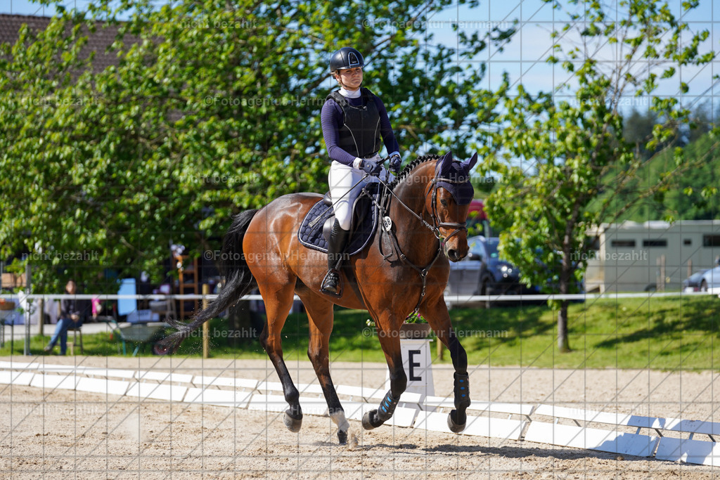 20240518-FAH03033 | rbilder, Turnierfotografen ayern, Fotoagentur Herrmann, Geländeturnier, Springbilder, Dressurbilder, Jungpferdefotograf