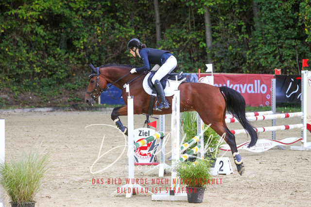 DKP42724 | Turniersportfotografie; Pferdefotografie; Dressurfotografie