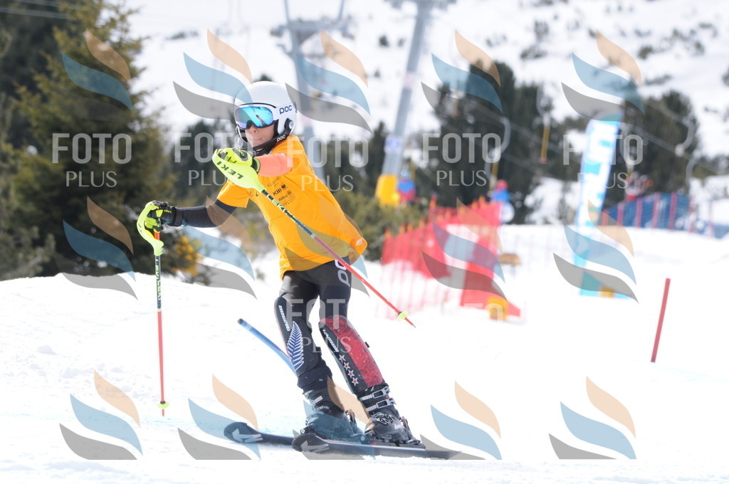 C7578 | holidayphoto