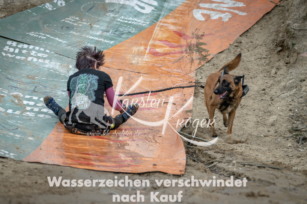 1226DSC_1722 | kk-dogfotos