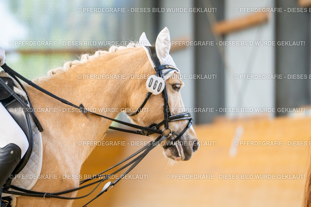 DSC08672 | Pferdegrafie