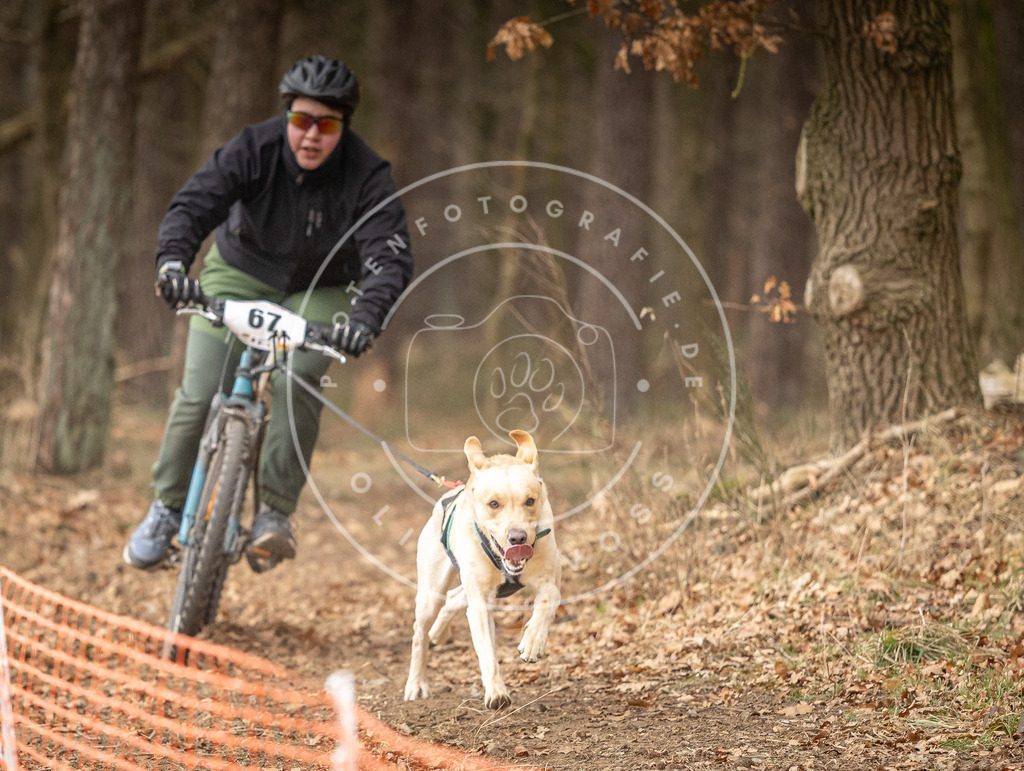 Pfotenfotografie_DV3A3404 | Hundefotografie, Tierfotograf, Pfotenfotografie, Fotoshooting Hund, Hunde Portrait, Hundesport, Hundeportraits, Heideshooting, Hunde, Sportfotograf, Hundefotograf, Turnierhundsport, THS,  - Realisiert mit Pictrs.com