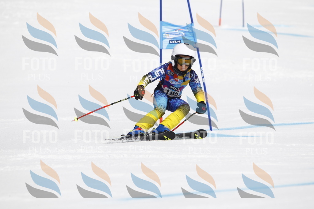 _U3G4855 | holidayphoto