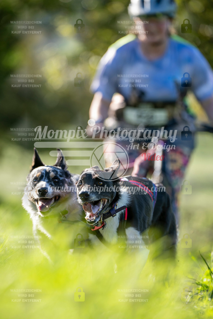 MompixPhotography_20TSB_E3_DS2-33 | PayLife