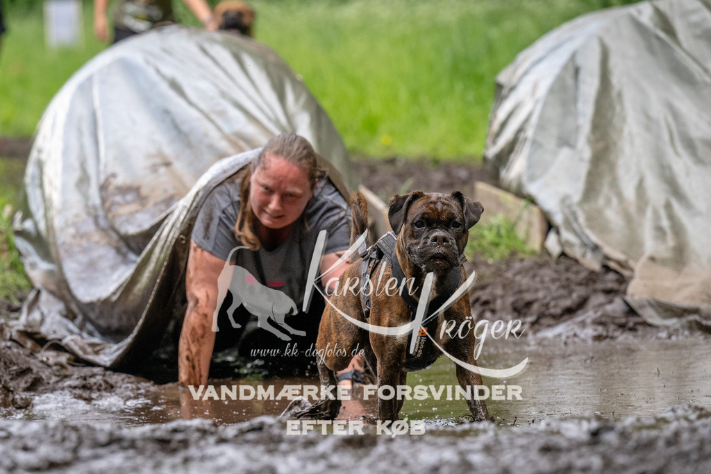 1538_ZZ94562 | kk-dogfotos