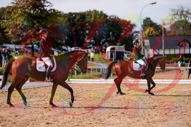 2026_10_03_Siefer-Hof_130838_Z81_61228263 | Professionelle Reitsport-, Turnier- und Eventfotografie von Robert Broda. Galerien mit ausgewählten und bearbeiteten Bildern direkt online ansehen und bestellen.