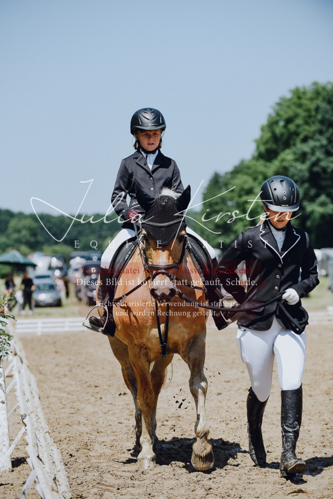 DSC_2190 | Pferde- und Turnierfotografie in Westsachsen. Pferdeportraits, Auftragszeichnungen und intuitive Kunst.