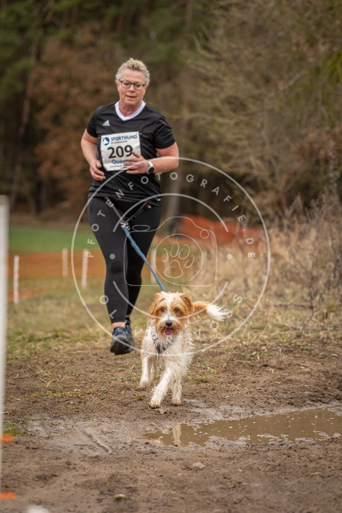 DV3A3040 | Hundefotografie, Tierfotograf, Pfotenfotografie, Fotoshooting Hund, Hunde Portrait, Hundesport, Hundeportraits, Heideshooting, Hunde, Sportfotograf, Hundefotograf, Turnierhundsport, THS,  - Realisiert mit Pictrs.com