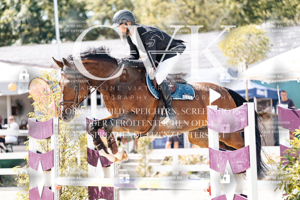 CK909082 | Turnierfotografie Pferdefotografie Trier Rheinland-Pfalz Pferdesport Reitsport Tierfotografie Sportfotografie Pferdevideo Pferdevideografie Equestrianvideography equestrianphotography  - Realisiert mit Pictrs.com